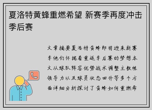 夏洛特黄蜂重燃希望 新赛季再度冲击季后赛